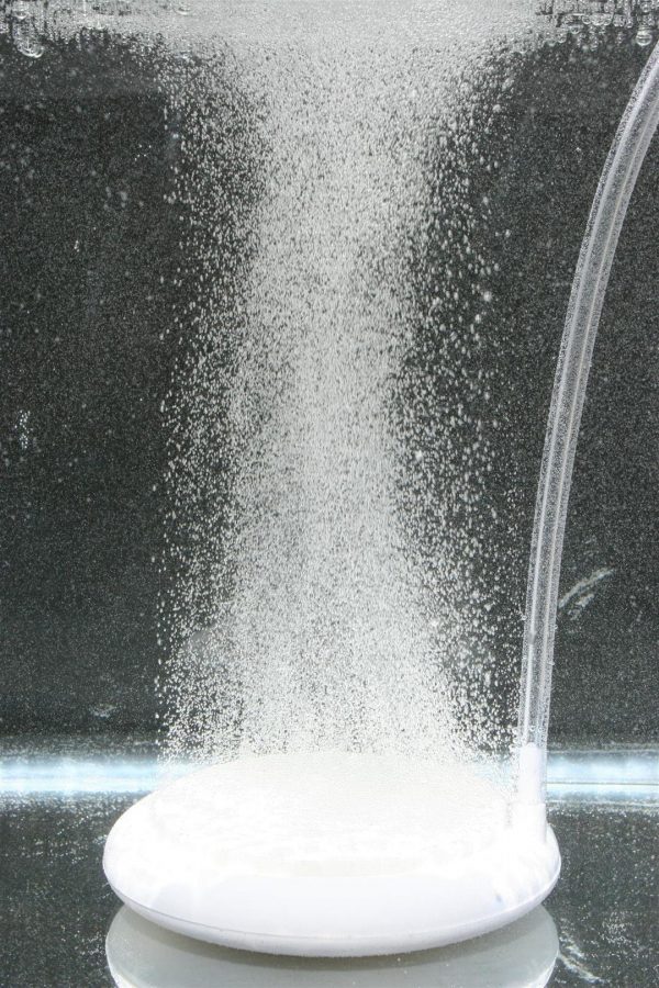 MicroBubble Bath Infuser - Medium - Image 3