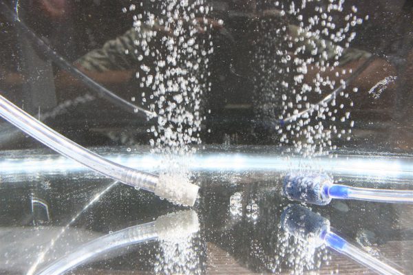 Infusion Stone – Stainless Steel - Image 2